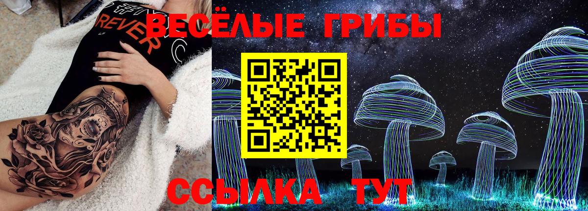 Галлюциногенные грибы мухоморы Арзамас