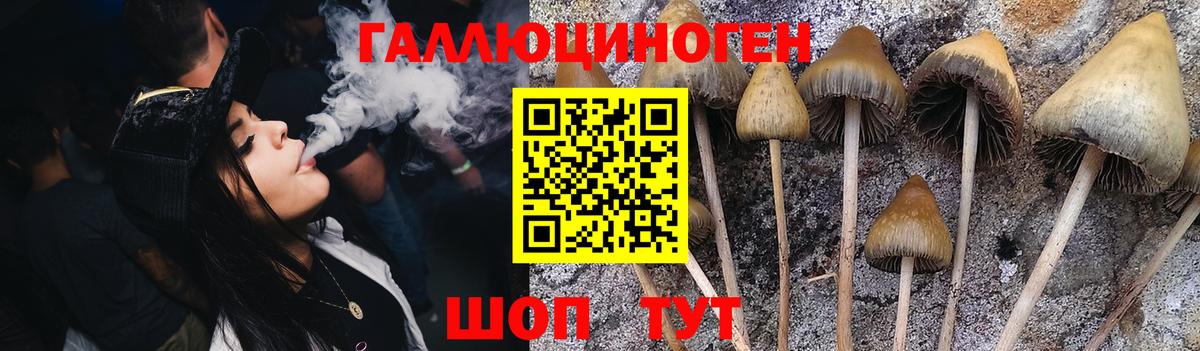 Галлюциногенные грибы Psilocybine cubensis  Псилоцибиновые грибы мухоморы  Вход с VPN  купить  сайты  Арзамас 